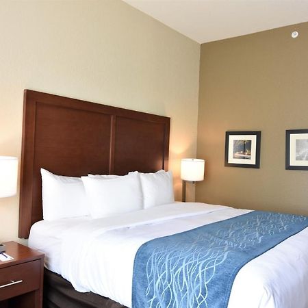 Comfort Inn & Suites Rock Hill Esterno foto