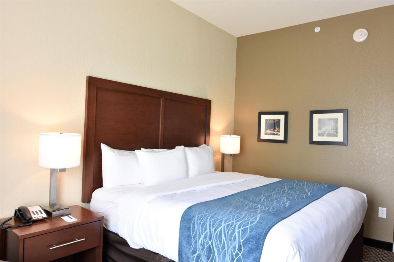 Comfort Inn & Suites Rock Hill Esterno foto